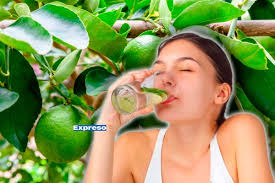 Limón, aliado para eliminar toxinas y un protector natural contra  enfermedades