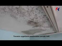 Evde kolayca uygulayabileceğiniz 7 kesin temizlik yöntemi bu listede! Saglik Panosundaki Pin