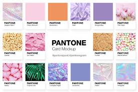 Pantone Color Cards Mockup Design Mockup Free Pantone Color Mockup Free Psd