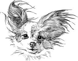 There are 163 fire dog drawing for sale on etsy, and they cost $11.45 on average. Sketch Dog Design Vector Free Vector In Adobe Illustrator Ai Ai Vector Illustration Graphic Art Design Format Format For Free Download 350 34kb