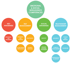 Emotional And Social Intelligence Leadership Competencies Are Learned Capacities Leadership Competencies Social Emotional Intelligence Emotional Intelligence