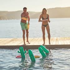 Great buy 2bogmft our best deals for cactus beverage cooler ring toss game in hazel park, michigan. 10 Pool Toys And Pool Floats For Summer Hgtv