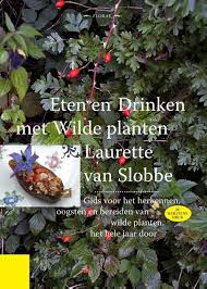 Bol Com Eten En Drinken Met Wilde Planten 9789490404000 Laurette Van Slobbe Boeken Planten Eten En Drinken Eten