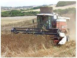 Check spelling or type a new query. Agriculture Free Full Text Herbaceous Oil Crops A Review On Mechanical Harvesting State Of The Art Html