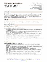 Team Leader Resume Samples Qwikresume