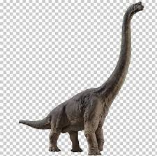 This edits the mamenchisaurus to look more like the one from the concept art for the lost world: Brachiosaurus Velociraptor Spinosaurus Jurassic Park Builder Jurassic World Evolution Png Free Download Artofit