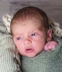 Wayne Layout Template