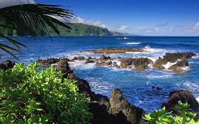 A collection of the top 51 1920 x 1080 hd hawaii wallpapers and backgrounds available for download for free. 33 Hawaii Hd Wallpaper 1920x1080 On Wallpapersafari