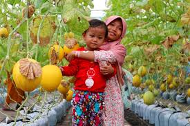 Tempat wisata keluarga ini menyediakan 30 wahana permainan dan bisa anda nikmati dari pagi sampai malam. 15 Tempat Wisata Keluarga Di Bogor Yang Harus Kamu Kunjungi
