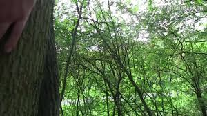 JavCube HUNTB-353 - Hidden Nasty Sister Rendezvous