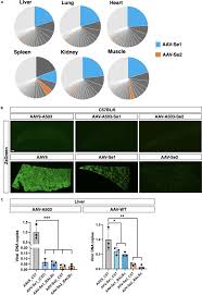 Image result for Dark Hunter Green 1998 AAV