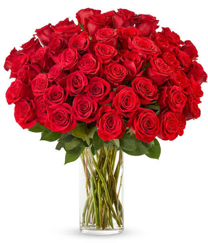 Roses
