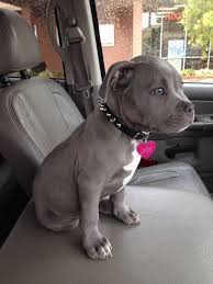 Pin On Cuteness Overload