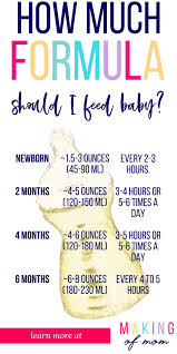 formula feeding baby how much how often babies stuff