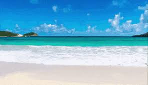 Check spelling or type a new query. Best Beach Background Gifs Gfycat