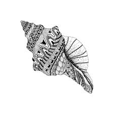 Search through 623,989 free printable colorings at. Seashell Coloring Page Kidspressmagazine Com