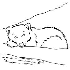 Brown bear brown bear what do you see coloring pages are a fun way for kids of all ages to develop creativity, focus, motor skills and color recognition. Top 10 Free Printable Brown Bear Coloring Pages Online