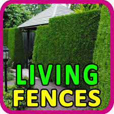 Climbing plants are great for covering fences, walls, trellis, arches or obelisks! Amazon Com Living Fences Beautiful Fence Plants Appstore For Android