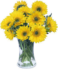 Relationship guides for your zodiac sign. Hello Sunshine Vase Of Flowers In Oklahoma City Ok Floral And Hardy