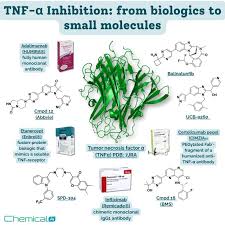 Image result for TNF Inhibitor