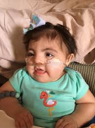 Fundraiser by Ali Kaun : Villasenor Assistance