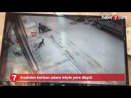 Kediden Korkan Adam Videosu Youtube
