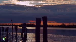 Wallpaper gambar burung garuda keren; Venetian Lagoon At Treporti The Unpredictable Traveler
