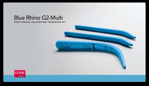 Image result for Trachyandra burkei