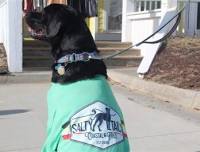 Salty Tails of Love Adoption Day