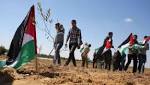الصحة الفلسطينية تتراجع: سيدة غزة