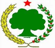 Walaloo afaan oromoo dr zelalem abera. Statement Of The Oromo Liberation Front Regarding The War That The Ethiopian Government Has Declared On The Oromo People Oromiatimes