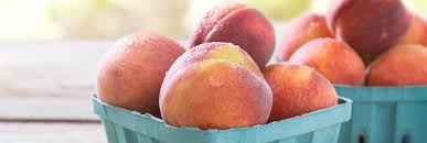 Consider planting one of the many new peach and nectarine cultivars that grow well in north florida. Peach Tree Plant And Care Instructions Pensacola Zones