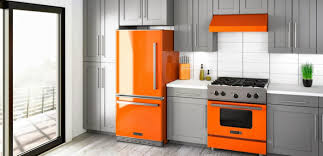 Shop for euro pro kitchen appliances online at target. The Pro Line Of Kitchen Appliances Big Chill