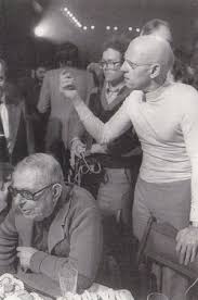 Pin Su Literary Theorists