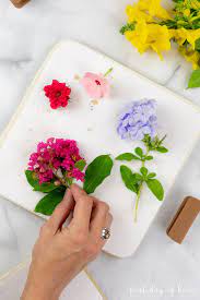 Or the pressed, dried flowers can also be saved for another day. How To Press Flowers A Complete Guide For Beginners