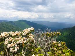 Maybe you would like to learn more about one of these? Find Cabins Near The Great Smoky Mountains National Park