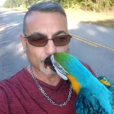 Ok everyone my 01 sl1 has a worn out reverse pin so it's not engaging the  reverse lights. Anyone know how I may obtain such a part? Thinking I need  new shift