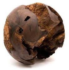 Trim annually from mid to late summer. 9 Walnut Root Ball 30 Ideas Walnut Tree Walnut Ball