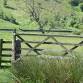 Wildlife, history and farming – Ecological restoration at RSPB Geltsdale