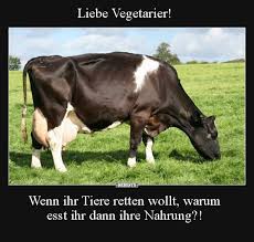 Pin Auf Lustiges