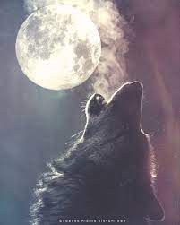 Wolf Cancer Full Moon Wolf And Moon Tattoo Moon Goddess Art Moon Cycle Tattoo
