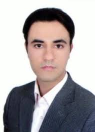 CURRICULUM VITAE (CV)