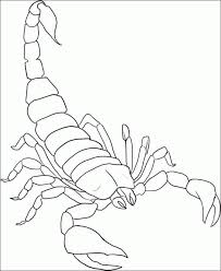970x999 coloring pages glamorous scorpion coloring pages to print. Scorpion Coloring Pages Books 100 Free And Printable
