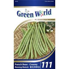 Kacang buncis tumbuh melilit, mempunyai akar tunggang dan sisi yang panjang dan memerlukan tiang untuk memanjat. Biji Benih Kacang Buncis French Bean Kebuna Putrajaya
