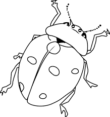 Black And White Ladybug Drawing Ladybug Line Art Line Art Vector Art Drawings