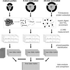 Since carbon monoxide detecting products rely on air flow to pick up carbon monoxide in the air, sometimes environmental conditions can affect how well the alarm is working. Phosphoproteomics Profiling Of Tobacco Mature Pollen And Pollen Activated In Vitro Molecular Cellular Proteomics