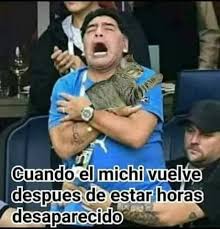 La visita se puso rápido en ventaja por los goles de romero y paredes, pero el local alcanzó el empate por el penal de muriel y el cabezazo de borja, en. Best 30 Diego Maradona Fun On 9gag