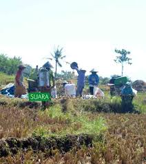Silahkan kunjungi postingan foto cewek2 cantik lucu berhijab anak remaja smp untuk membaca artikel selengkapnya dengan klik link di atas. Cerita Psk Di Magetan Soal Perilaku Pria Hidung Belang Dan Curhatnya Suara Kumandang