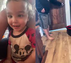 Wilbur🐽and WALL·E🐶 (@wilburandwalle)