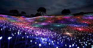 Paso Robles Ca Field Of Light Art In 2020 Paso Robles Picture Light Light Art